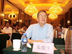 中國可再生能源學會產業工業委員會朱俊生主任