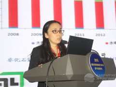 國家發改委能源研究所可再生能源中心時璟麗研究員