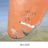 葉片售后服務圖片3